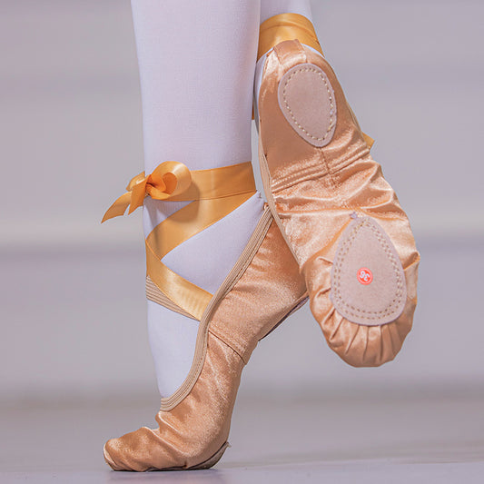 Professional dance shoes, children's ballet shoes, anti-slip cat-claw shoes, performance shoes, soft-soled shoes